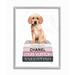 Stupell Industries Adorable Puppy Sitting On Glam Fashion Books by Amanda Green - Floater Frame Graphic Art Print on Canvas in Pink | Wayfair