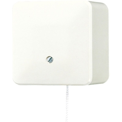 Jung Zugschalter 606 ZA 606ZA Image