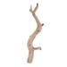 Vickerman 653630 - 36" Ghostwood Manzanita SB (H4GHW36SB) Dried and Preserved Branches