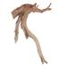 Vickerman 653616 - 18" Ghostwood Manzanita SB (H4GHW18SB) Dried and Preserved Branches