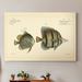 Rosecliff Heights 'Bloch Antique Fish III' - Painting Print on Canvas Metal in Black/Brown/White | 48 H x 32 W x 1 D in | Wayfair