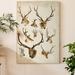 Millwood Pines 'Western Animal Species II' - Wrapped Canvas Painting Print Metal in Brown/Green/Orange | 48 H x 32 W x 1.5 D in | Wayfair