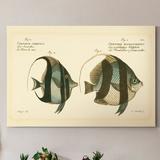 Rosecliff Heights 'Bloch Antique Fish I' - Painting Print on Canvas Canvas, Solid Wood in Blue/Brown/Green | 27 H x 18 W x 1 D in | Wayfair