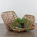 Northlight Seasonal Set of 3 Square Lattice Tobacco Table Top Baskets Manufactured Wood in Brown | 4.5 H x 16.75 W x 16.75 D in | Wayfair