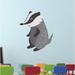 Zoomie Kids Baby Raccoon Adorable Cartoon Wall Decal Vinyl in Black/Gray | 20 H x 12 W in | Wayfair E3B5D1C6EE3E4651A18F36A40AE3A8C9