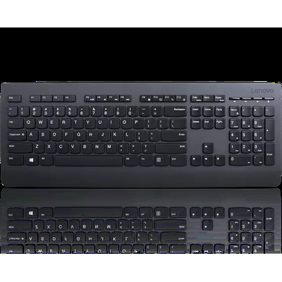 Professional Wireless Keyboard- LA Spanish