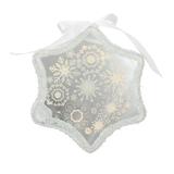 Northlight Seasonal 9" Pre-Lit Led Sparkle Snowflake Scene Christmas Ornament Plastic in White | 8 H x 2 W x 8 D in | Wayfair 32266830