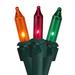 Northlight Seasonal 50-Count Multicolor Mardi Gras Mini Light Set 10ft Green Wire in Green/Red/Yellow | 1 H x 135 W x 136 D in | Wayfair