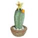 Northlight Seasonal 12" Green Potted Southwestern Style Artificial Cactus Plant w/ Flowers Plastic | 12 H x 6 W x 6 D in | Wayfair 32738602