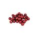 Northlight Seasonal 60ct Shatterproof Matte Christmas Ball Ornaments 2.5" (60mm) Plastic in Red | 2.5 H x 2.5 W x 2.5 D in | Wayfair 31744284