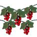 Northlight Seasonal 5-Count Red Grape Cluster Outdoor Patio String Light Set - 6ft Green Wire in Green/Red | 1 H x 1 W x 72 D in | Wayfair