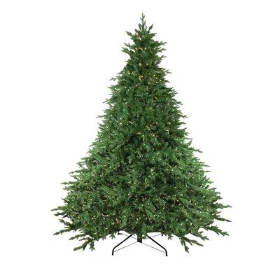 Northlight Seasonal Pre-Lit Full Minnesota Balsam Fir Artificial Christmas Tree - LED Lights in White | 144 H x 104 W in | Wayfair 32915589