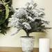 Northlight Seasonal 20" Flocked White & Artificial Pine Tree w/ a Pot Resin/Plastic in Green | 20 H x 18 W x 18 D in | Wayfair 32283914