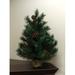 Northlight Seasonal 2' Medium Royal Oregon Pine Burlap Base Artificial Christmas Tree - Unlit in Green | 24 H x 17 W in | Wayfair 32913292