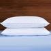 Puredown Firm Support Pillow Down & Feathers/100% Cotton | 20 H x 26 W in | Wayfair PD-DP15018-S