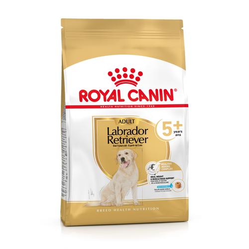 2 x 12kg Adult 5+ Labrador Retriever Royal Canin Breed Hundefutter trocken