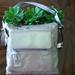 Giani Bernini Bags | Giani Bernini "Glazed" Crossbody Bag | Color: Tan | Size: Aprox .9w X 10h In.