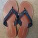 Coach Shoes | New Coach Sandals | Color: Black | Size: 6