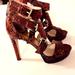 Michael Kors Shoes | Michael Kors Stylish Heels Snakeskin Gold Buckles | Color: Black/Brown | Size: 6.5