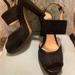 Coach Shoes | Coach Daria Heels | Color: Black | Size: 8.5