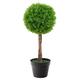 Closer2Nature 2ft Decorative Artificial Plants - Boxwood Topiary Tree; Decorative Trees, Perfect House Plant or Outdoor Plants - Topiary Plants