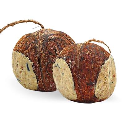 2 x 4 Stk. Lyra Pet Gefüllte Kokosnuss mit Löchern