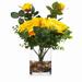 Primrue Silk Mixed Centerpieces in Vase Silk in Yellow | 11 H x 6 W x 6 D in | Wayfair 46F73D5F07604BDA95EA67CEE44C2630