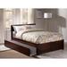 Viv + Rae™ Bueno Park Solid Wood Platform Bed w/ Footboard & Trundle Wood/Solid Wood in Brown | 37.25 H x 55.75 W x 76.75 D in | Wayfair