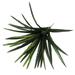Primrue 25.75" Artificial Yucca Leaf Plant Polyester/Plastic | 25.75 H x 23 W x 23 D in | Wayfair F1B234FD85CE4979A0BD2DD7E90468F6