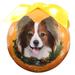 E&S Imports Papillon Ball Ornament Plastic in Brown/Orange/Yellow | 3 H x 3 W x 3 D in | Wayfair CBO-63