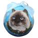 E&S Imports Himalayan Cat Ball Ornament Plastic in Blue/White | 3 H x 3 W x 3 D in | Wayfair CBOC-1