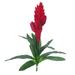 Primrue Tropical Vriesea Bromeliad Sprays Plastic/Fabric in Red | 18 H x 15 W x 10 D in | Wayfair 4DAB790403844EE1A8E5038AC14998D1