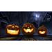 Holiscapes Atmosfx Jack-O-Lantern Jamboree DVD Halloween Digital Decoration | Wayfair Atmos-DVD-JOL