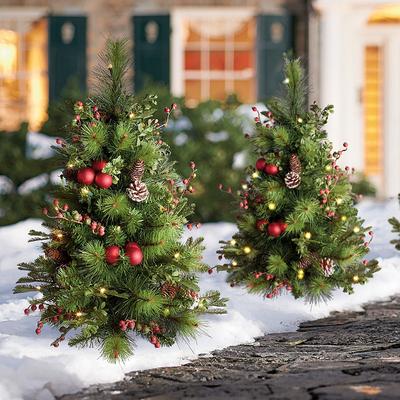 Christmas Hadley Holiday Cordless Pathway Tree, Set Of Two - Grandin Road