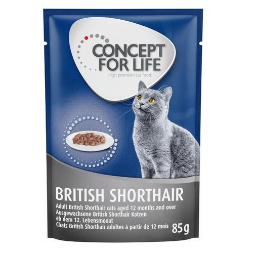 12x85g British Shorthair Ragout-Qualität Concept for Life Katzenfutter nass