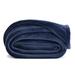 Latitude Run® Teshena Fleece Blanket Microfiber/Fleece/Microfiber/Fleece in Blue | 108 W in | Wayfair 01211DFC570D4402BA493325B100D60D
