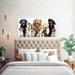 Winston Porter Best Friend Dog Bunch by Cathy Walters - Wrapped Canvas Print Canvas in White | 18 H x 36 W x 1.5 D in | Wayfair