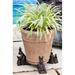 Jardinopia Beatrix Potter Peter Rabbit Bronze Coloured Planter Feet In Gift Box Plastic/Stone in Gray | 4.29 H x 3.12 W x 3.51 D in | Wayfair