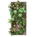 Dalmarko Designs Wall Hanging Succulent Wood/Plastic in Brown | 30 H x 15 W x 7 D in | Wayfair dmr422