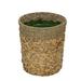 Bay Isle Home™ Bruggeman Rattan Pot Planter Rattan in Brown | 16 H x 14 W x 14 D in | Wayfair C47C945550424272AB493EA2DC64F545