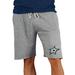 Men's Concepts Sport Gray Dallas Stars Mainstream Terry Shorts