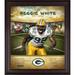 Reggie White Green Bay Packers Framed 15" x 17" Hall of Fame Career Profile