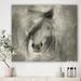 East Urban Home Farmhouse Horse V - Painting Print on Canvas Canvas, Wood in Gray | 46 H x 46 W x 1.5 D in | Wayfair