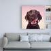 Winston Porter 'Follow Your Nose 7' by Lucia Heffernan - Wrapped Canvas Print Canvas in Black/Pink | 18 H x 18 W x 2 D in | Wayfair