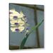World Menagerie Orchid in Window by Linda Parker - Painting Print on Canvas Metal in Brown/Gray/Green | 32 H x 24 W x 2 D in | Wayfair