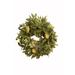 Primrue 26" Polyvinyl Chloride Wreath Traditional Faux in Green | 8 H x 26 W x 26 D in | Wayfair F813181985BC4EE68D3543FDE06BF122