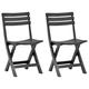 vidaXL Folding Garden Chairs 2 pcs Plastic Anthracite