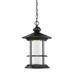 Z-Lite Genesis 18 Inch Tall LED Outdoor Hanging Lantern - 552CHB-BK-LED