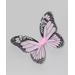 Story Book Wishes Girls' Wings Pink - Pink & Black Monarch Butterfly Wings