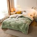 CLG Lamb Velvet Fabric Winter Quilt, Warm Cashmere Quilt Hygroscopic Breathable Duvet Single Double,Wool Autumn and Winter Thickened Warm Gift Quilt (C,150x200cm 2.5kg)